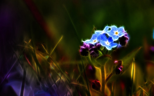 653184 (a): :2528x1580